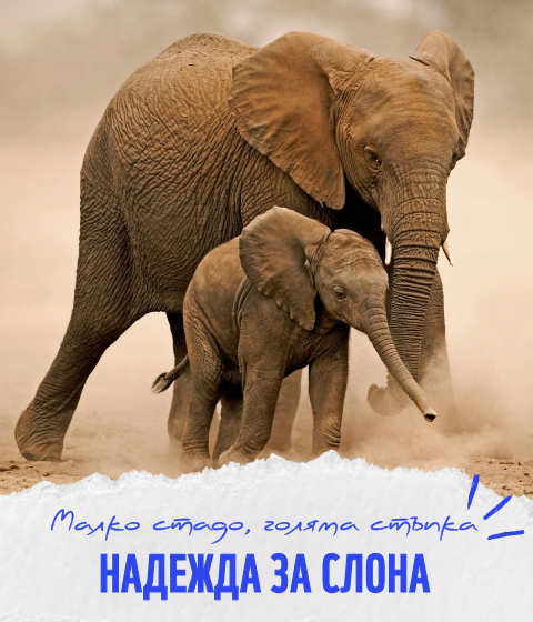 Стани закрилник на дивите животни