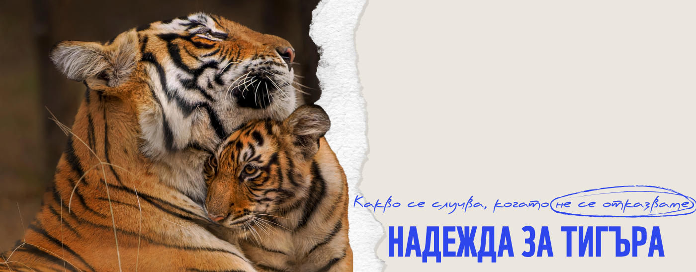 Стани закрилник на дивите животни